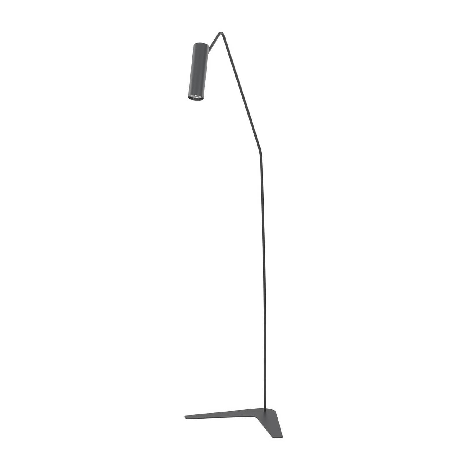 Lampadaire Eye Super avec tête mobile graphite