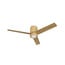 beige / madera