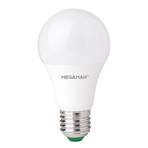 Ampoule LED E27 A60 9W, blanc chaud, intensité variable
