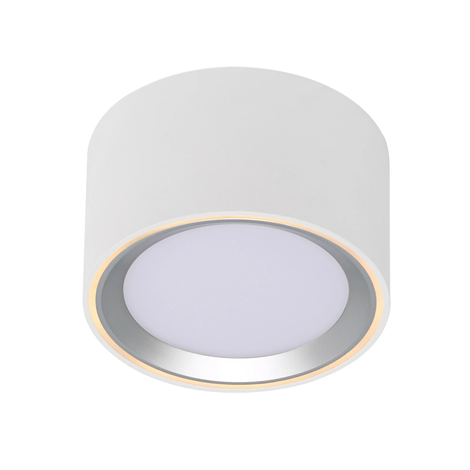 Fallon LED downlight, 3-level-dim, white/steel