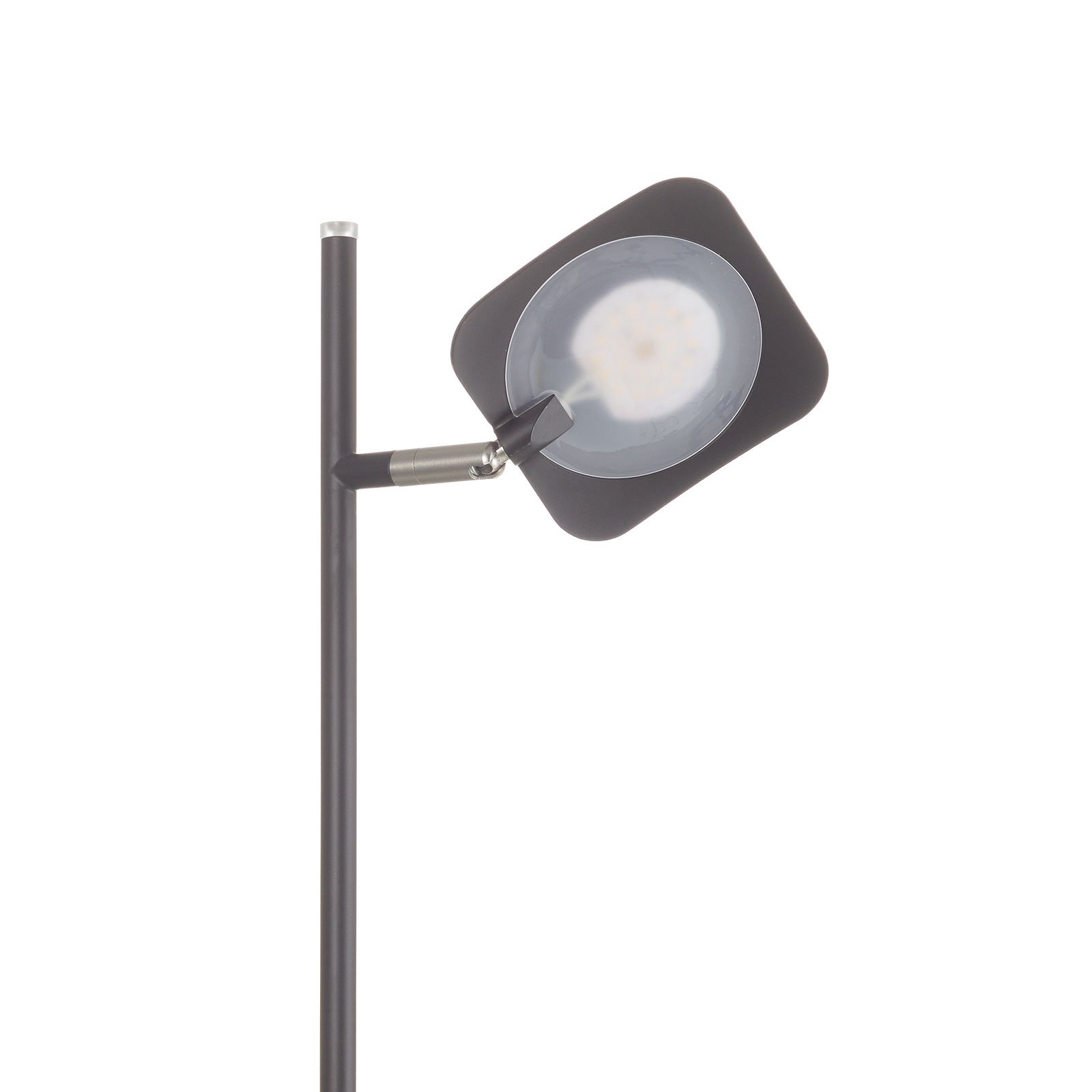 LED floor lamp Raggio, 1-bulb