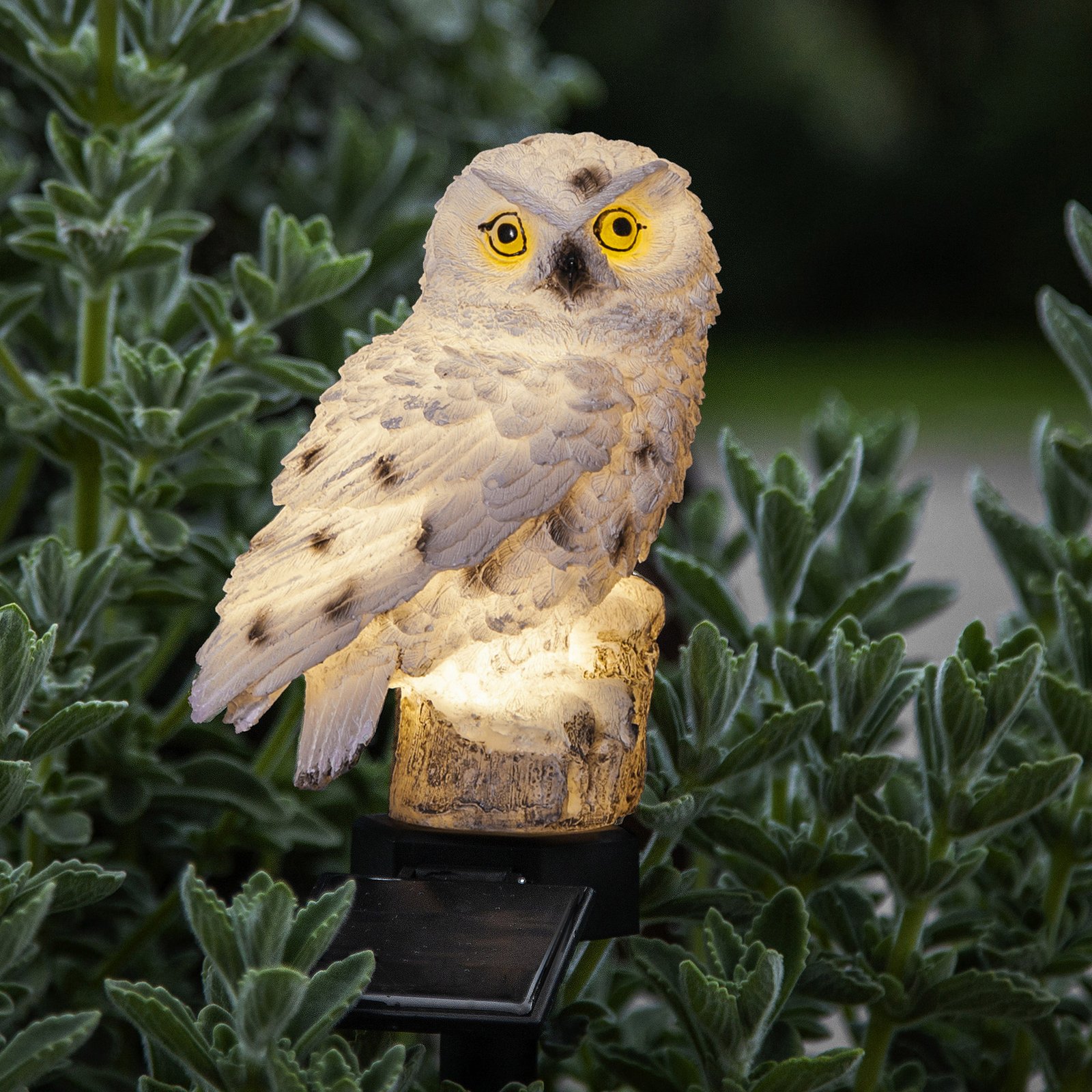 Owl LED solar light with a ground spike