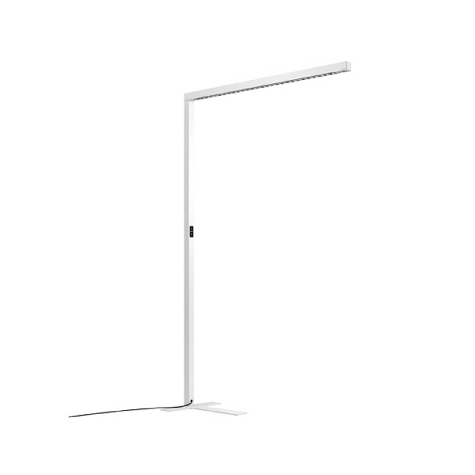 Lampa stojąca LED Straight.single, biała, 4000 K, inteligentna, z czujnikiem