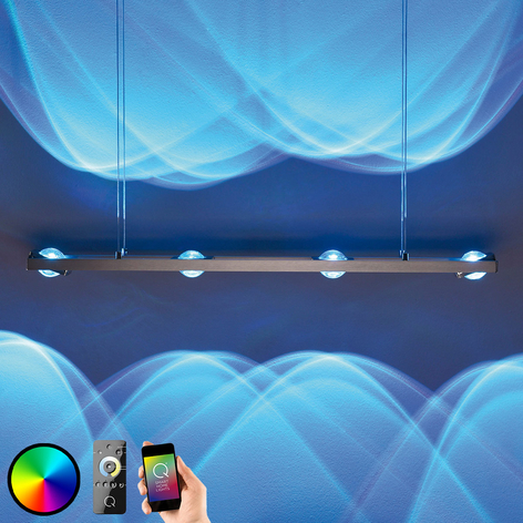 Paul Neuhaus Q-FISHEYE, Pendelleuchte Smart Home