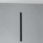 Oboe LED track pendant lamp 3.5 W 3,000 K black