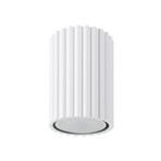 Lampa sufitowa Carbon, biała, wysokość 10 cm, aluminium