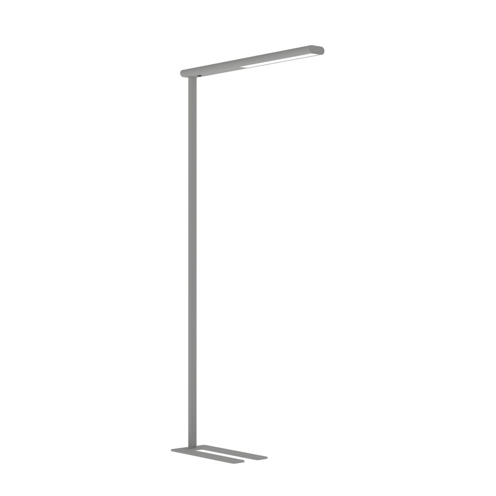 LED-Büro-Stehleuchte MAULjet, silberfarben, Höhe 195 cm