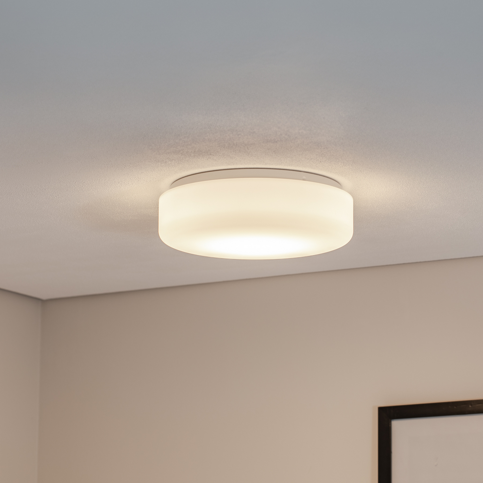 BEGA LED ceiling light 50036P K3, white, Ø 35 cm, plastic DALI