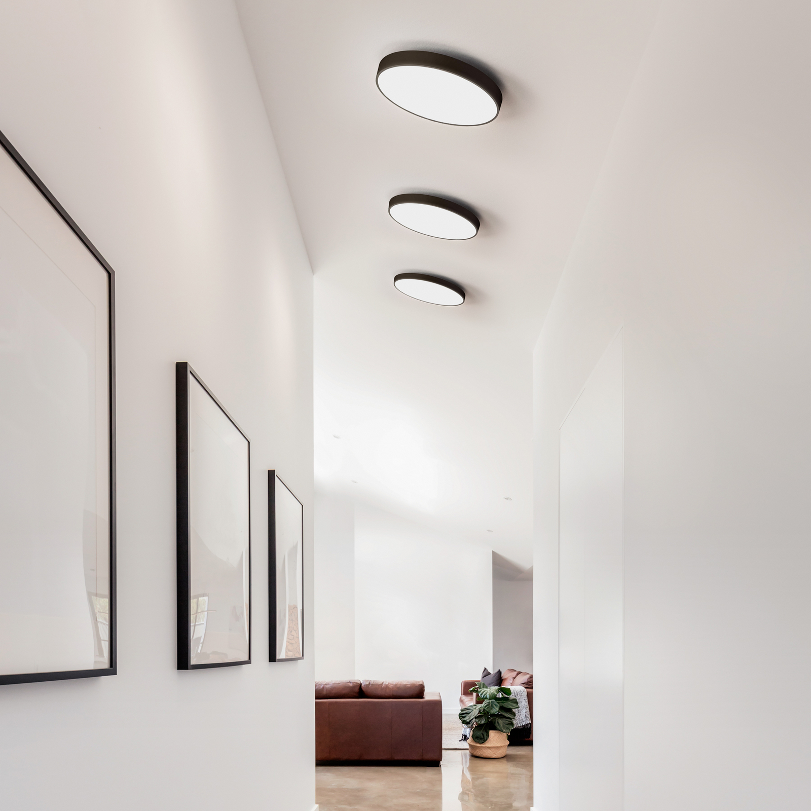 Luna C450 LED plafondlamp, zwart, Ø 45 cm CCT - Antidark Luna C450 LED plafondlamp, zwart, Ø 45 cm CCT - Antidark