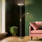 LED stojacia lampa Pool, mosadzná farba, výška 182 cm, 2 svetlá.