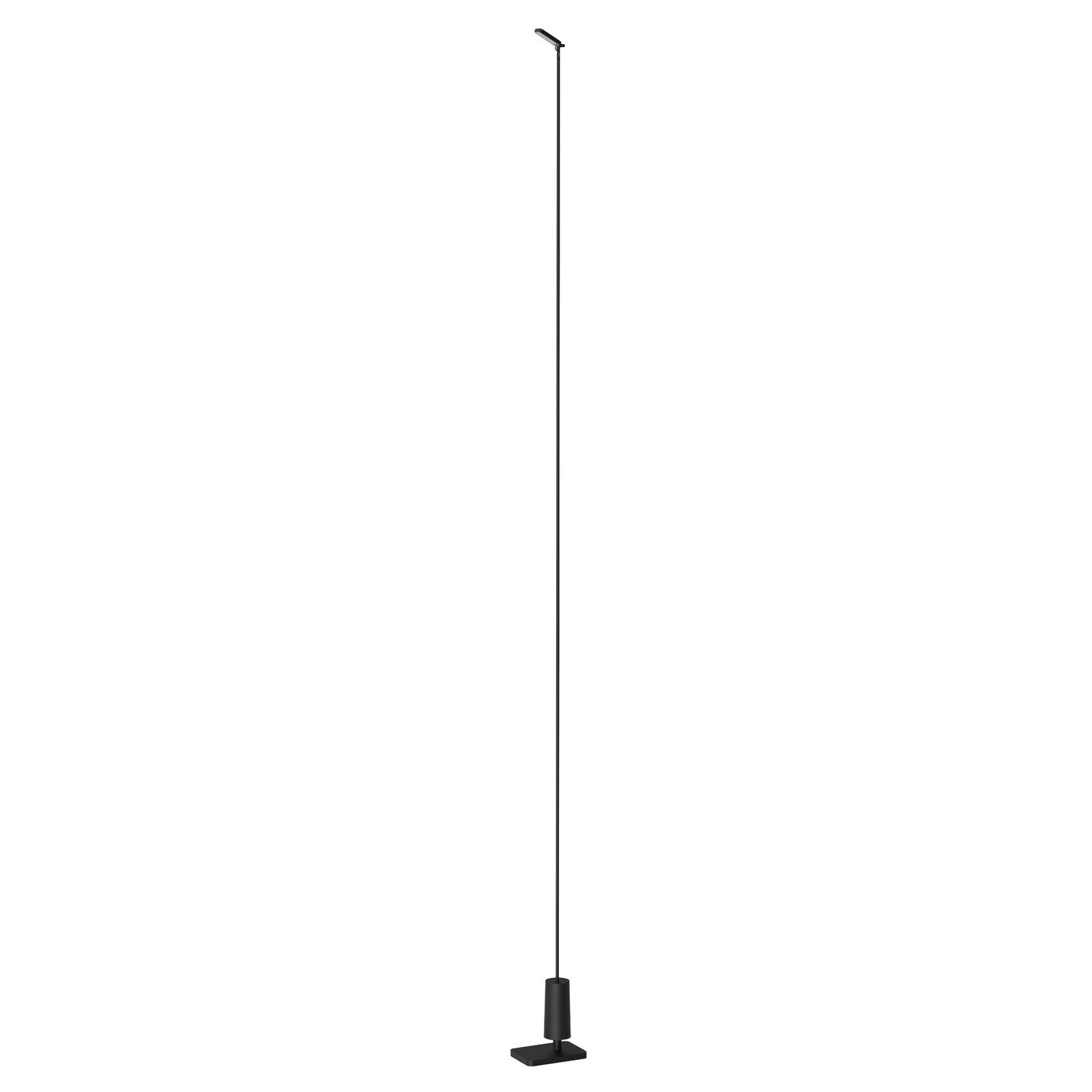 Luceplan Flia path lamp 1-bulb on/off, 180 cm, carbon fibre, aluminium, stainless steel, 2.5 W, H: 180 cm