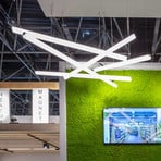 Molto Luce Valo PDI pendant light 840 DALI