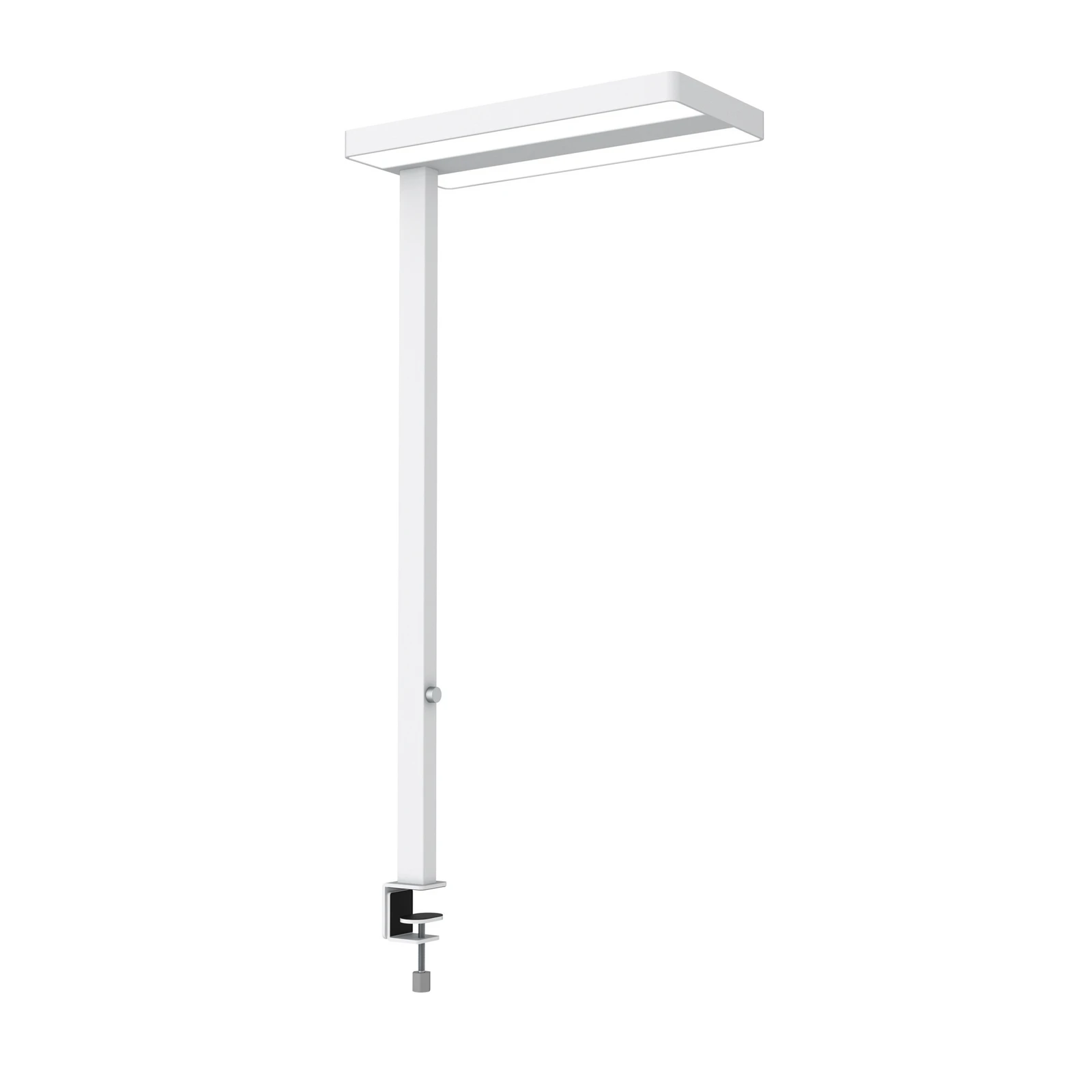 LED настолна лампа MAULjaval, бяла, 120 cm, дим, основа със скоба