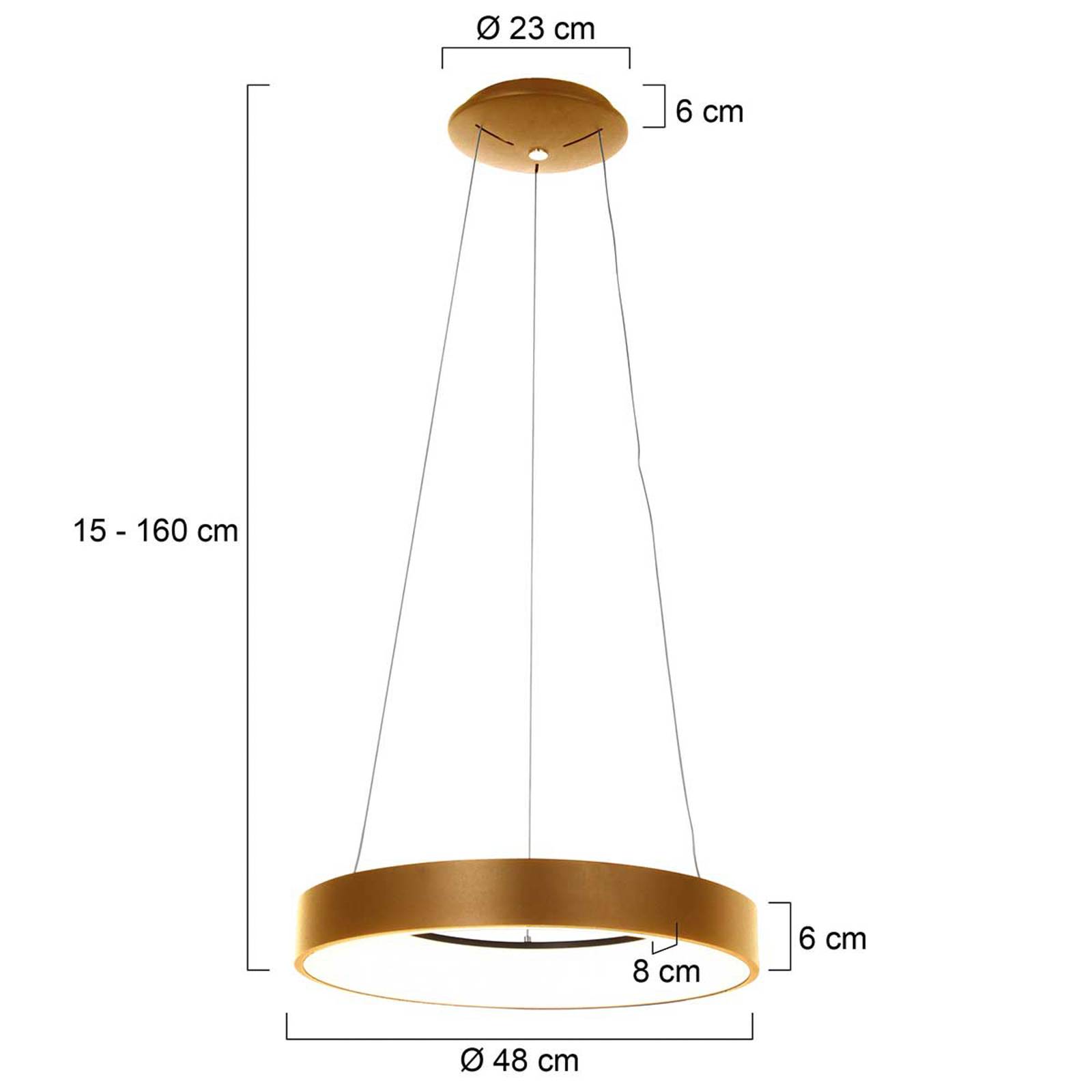 Image of Steinhauer Suspension LED Ringlede, Ø 48 cm, dorée 8712746132861