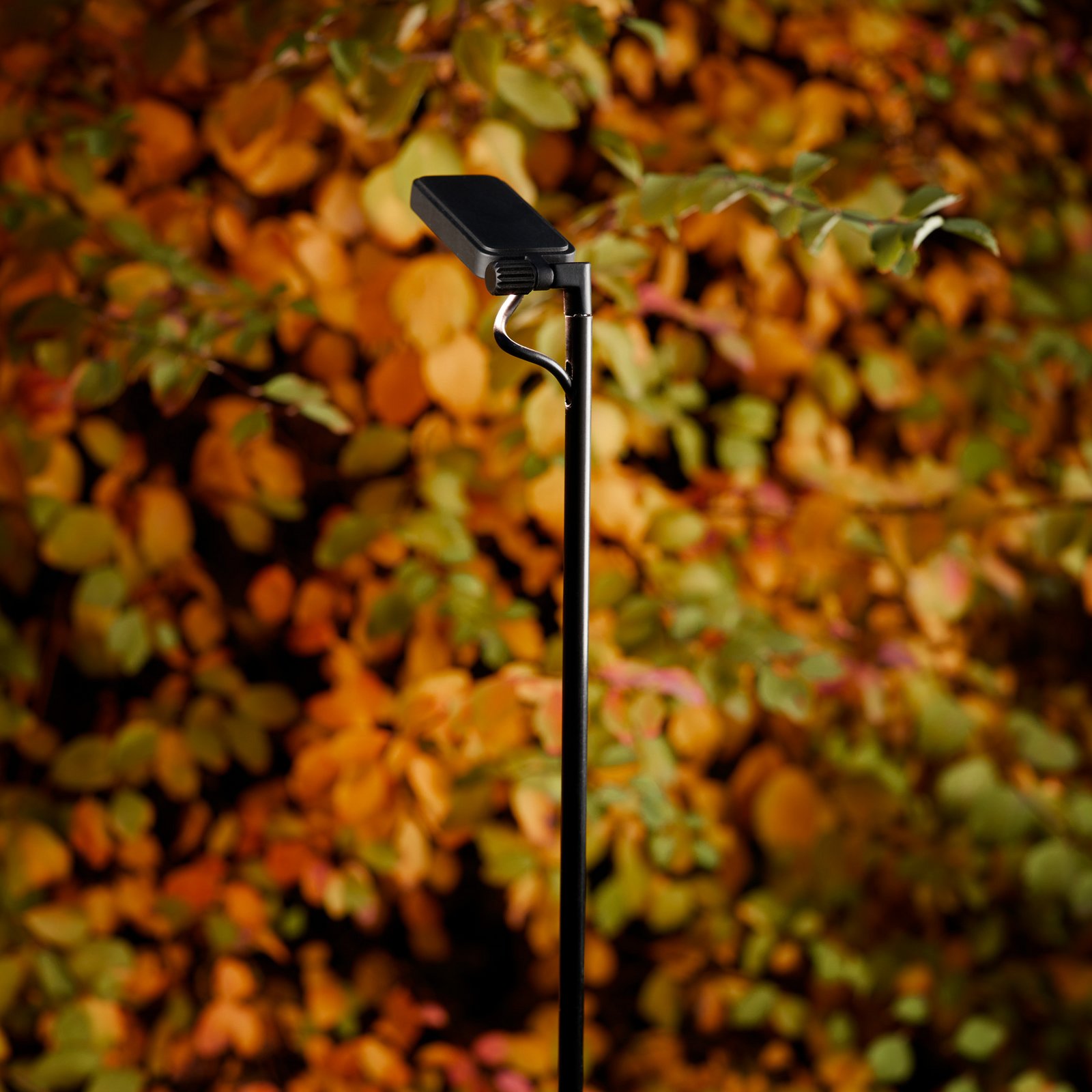 Luceplan LED-Wegelampe Flia, 180cm hoch, schwarz, Kunststoff