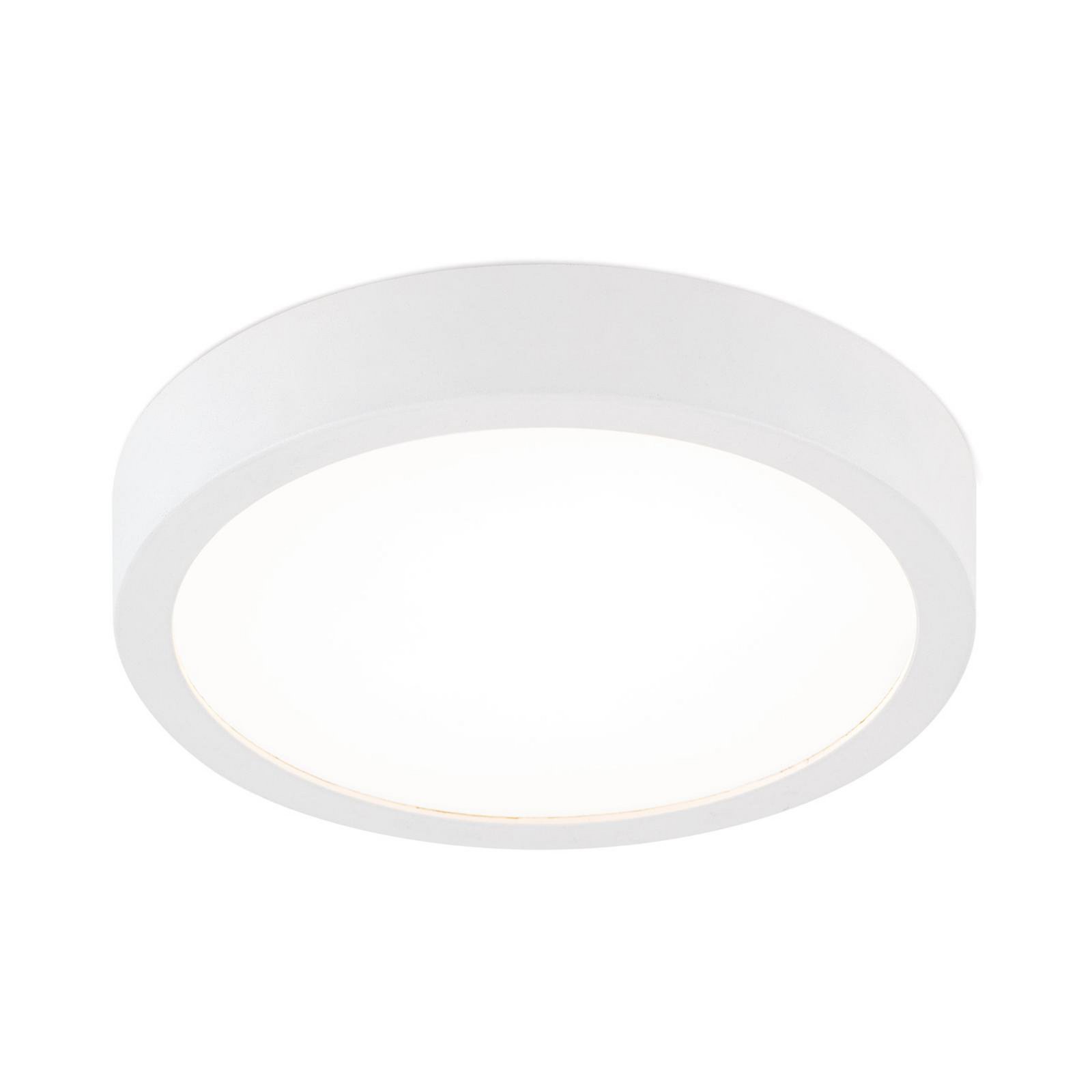 LED ceiling lamp Disc, white Ø 14 cm, CCT, metal/plastic