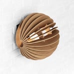 Φωτιστικό τοίχου Clay, Ø 23 cm, κόντρα πλακέ σημύδας, επίπεδο, E27