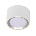 LED downlight Fallon 3-step dim, bijela/čelik