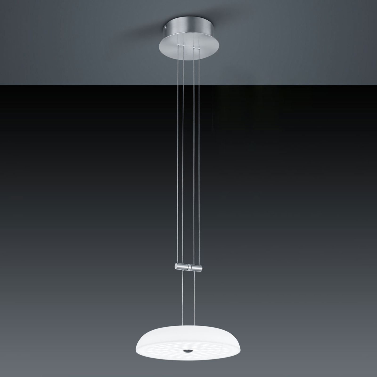 BANKAMP Vanity hanglamp 1 lampje nikkel Ø 25 cm