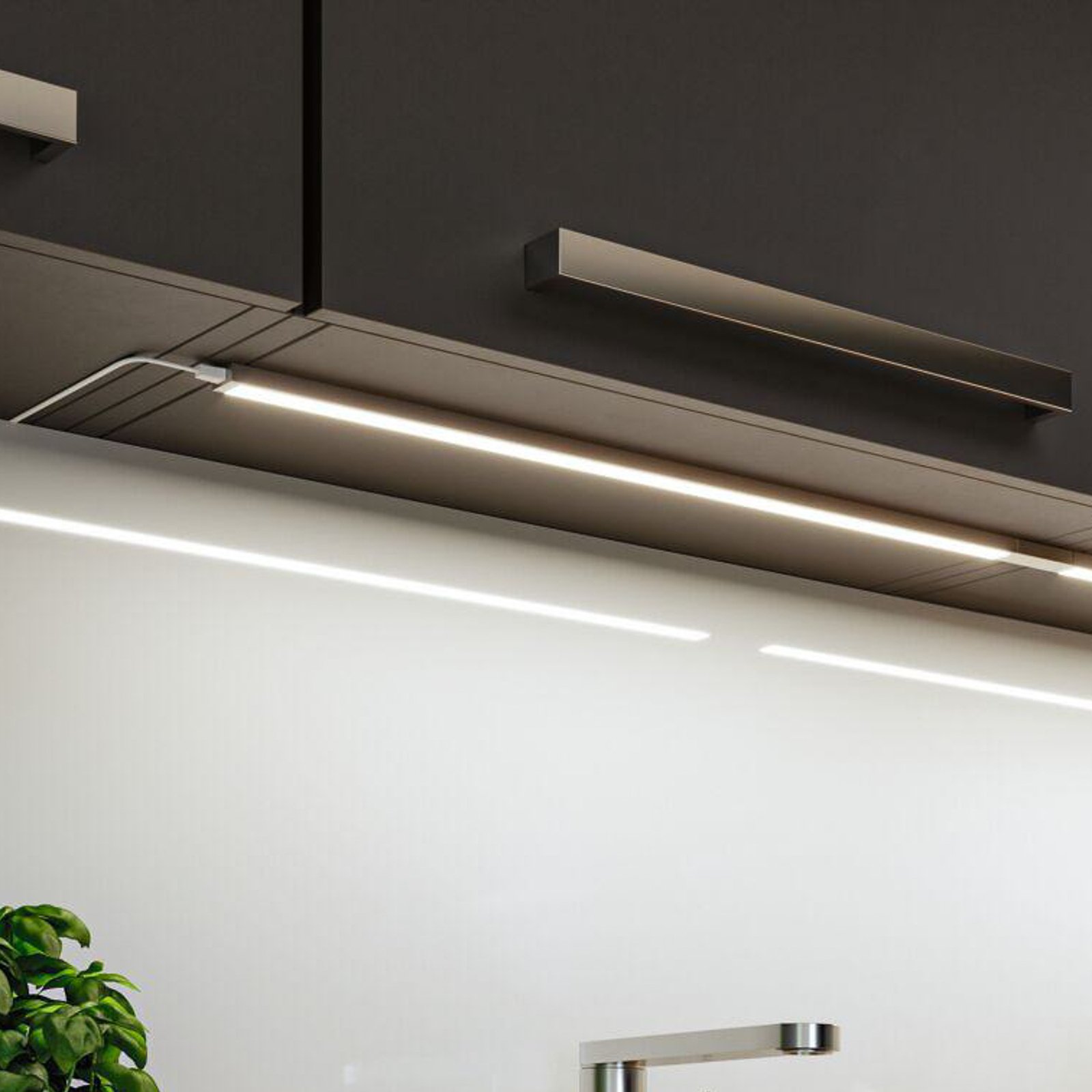 Paulmann LED under-cabinet light Inline starter set of 2, 830