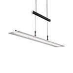 LED-Hängelampe Tick schwarz, Glas, dimmbar, höhenverstellbar