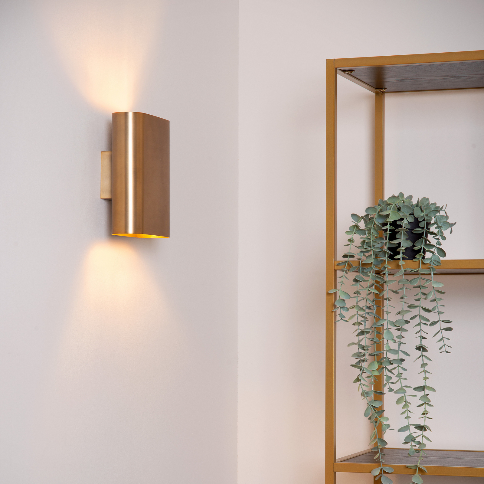 Applique OVALIS, color oro, altezza 20 cm, metallo, luce verso l'alto/verso il Applique OVALIS, color oro, altezza 20 cm, metallo, luce verso l'alto/verso il