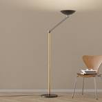 LED stojací lampa Lib V, nastavitelná výška, černá