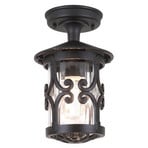 Stropná lampa Hereford, čierna/číra, IP23, kov – Elstead