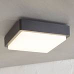 LED buiten plafondlamp Nermin, IP65, hoekig