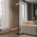 Arcchio LED-gulvlampe Frile, sort, højde 190 cm, dæmpbar