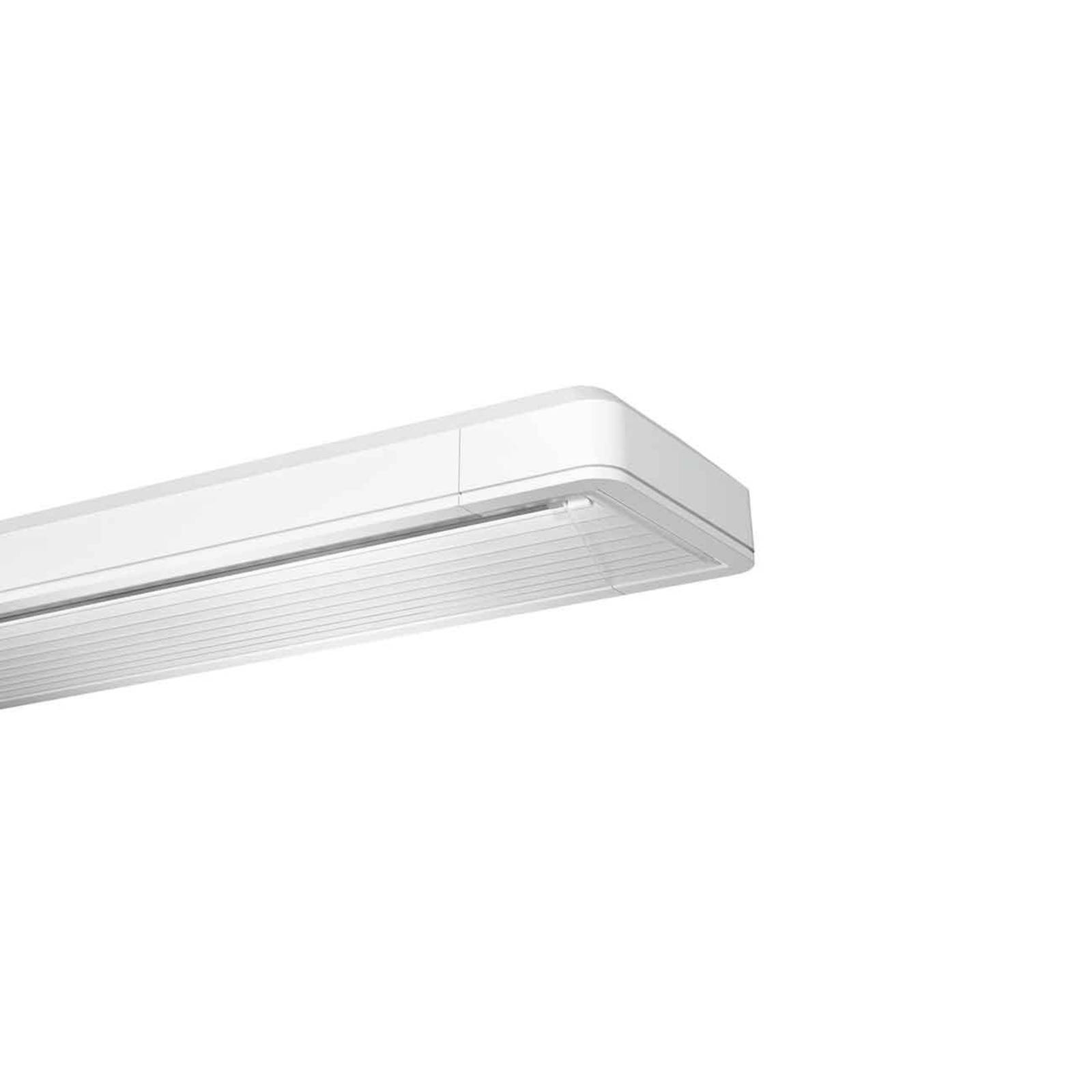 Siteco Taris lampa sufitowa LED 123cm EVG-DALI