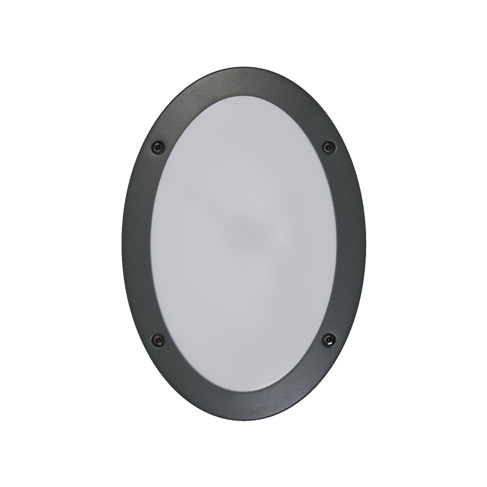 Applique d'extérieur OSRAM ENDURA CLASSIC ORBI, gris foncé, IP65