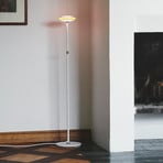 Shade ØS1 lampe sur pied, télécommande Node RGBW