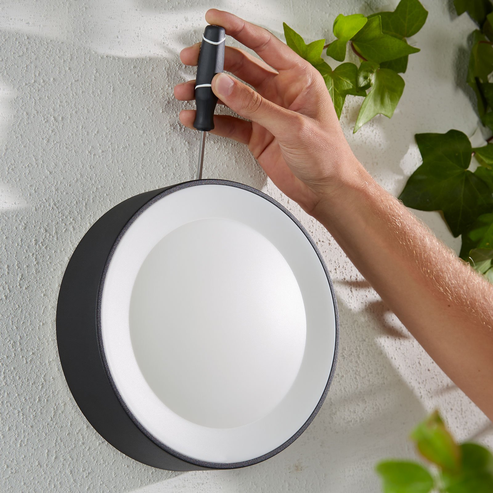 Daylo Außen Wandleuchte White/Color Amb. Black - Philips Hue