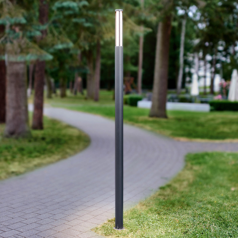 LED-Mastleuchte Sidny, schmale Form, 220 cm