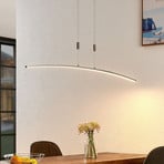 Lindby Phillie LED hanging light height-adjustable