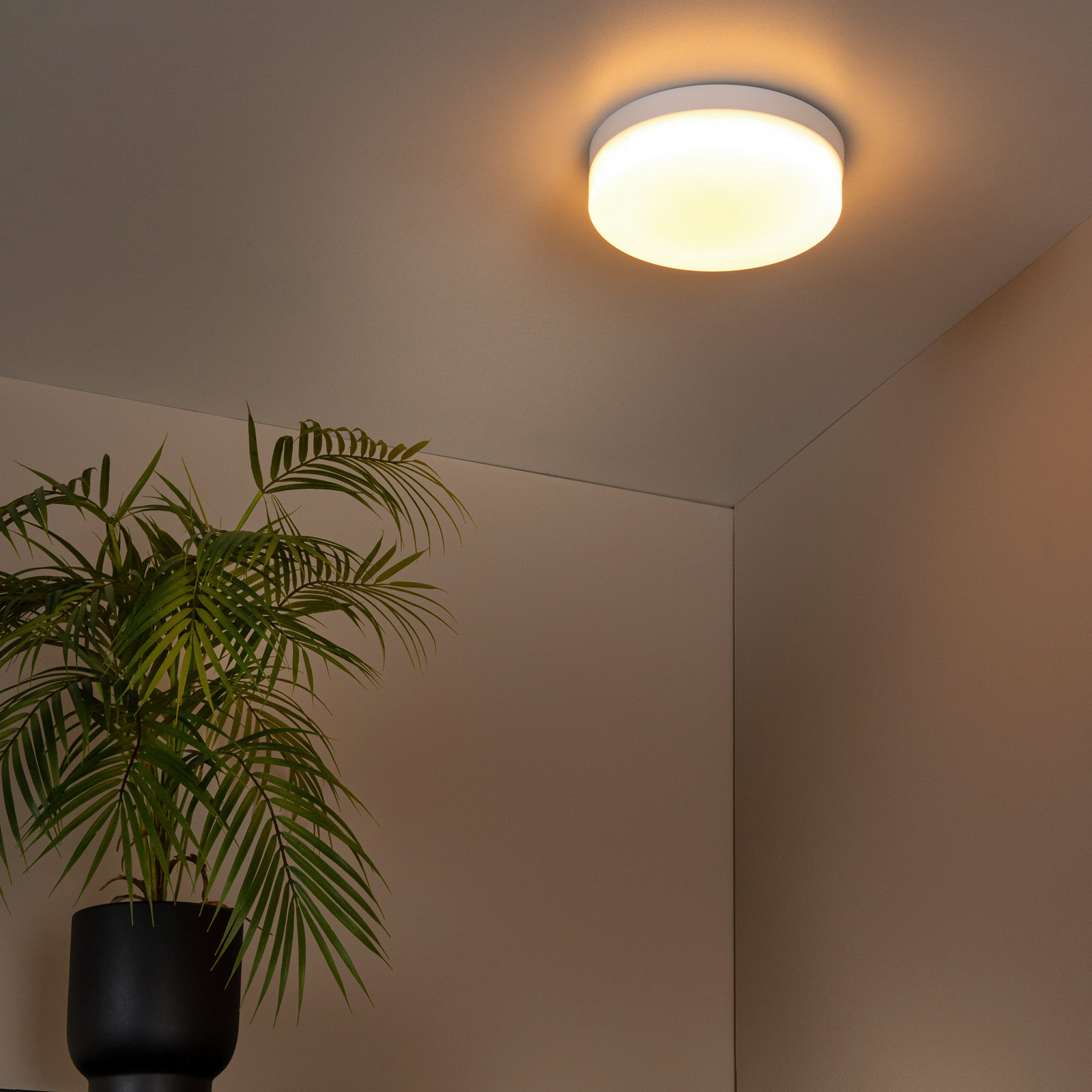 LED-Bad-Deckenlampe Biskit, weiß, Ø 23 cm, Kunststoff