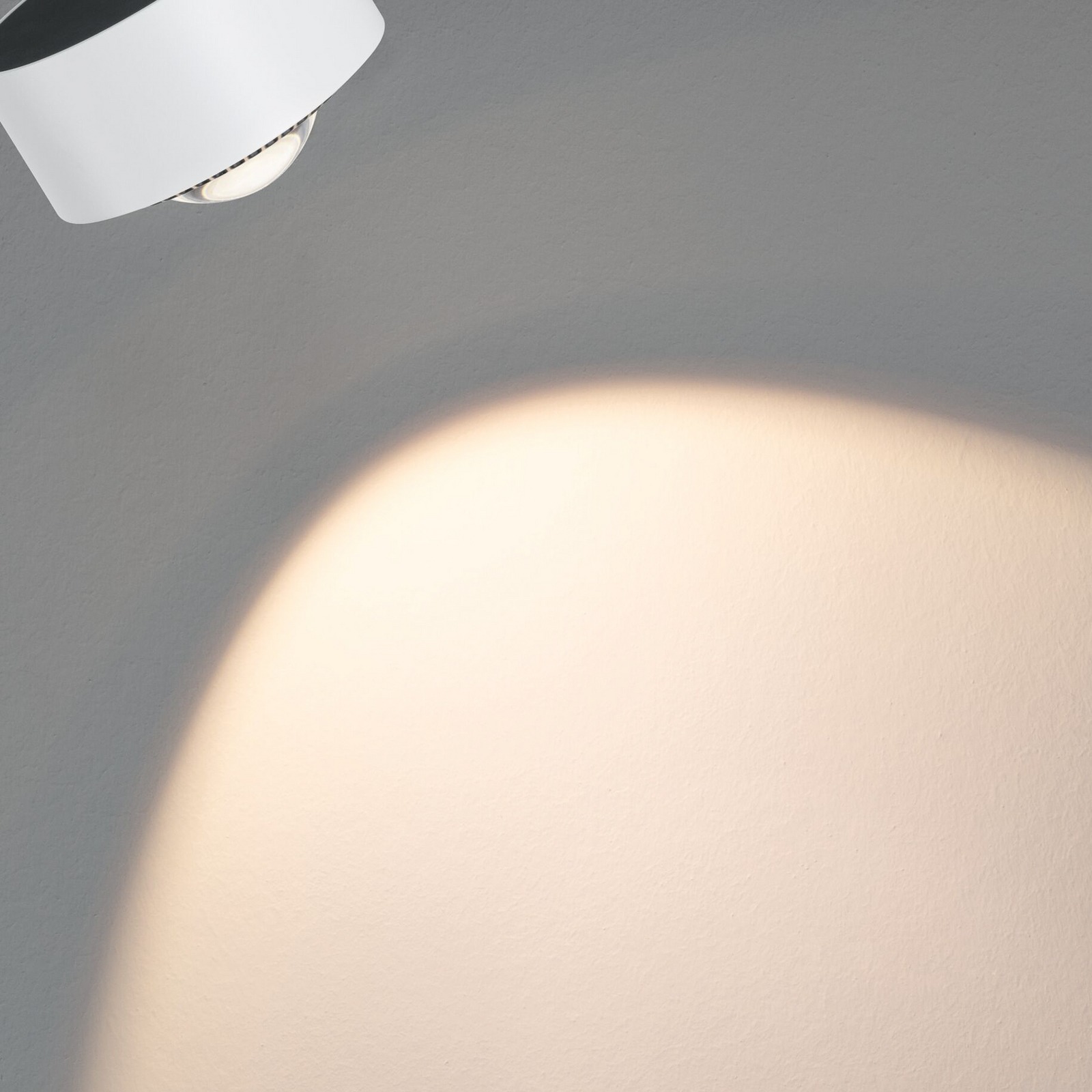 Paulman URail Spot LED Aldan, alb semnal, White Switch