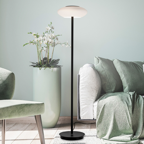 Paul Neuhaus Q-ETIENNE LED-Stehleuchte, CCT