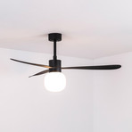 Ventilator de tavan cu LED Amelia Ball L, negru, curent continuu, silențios