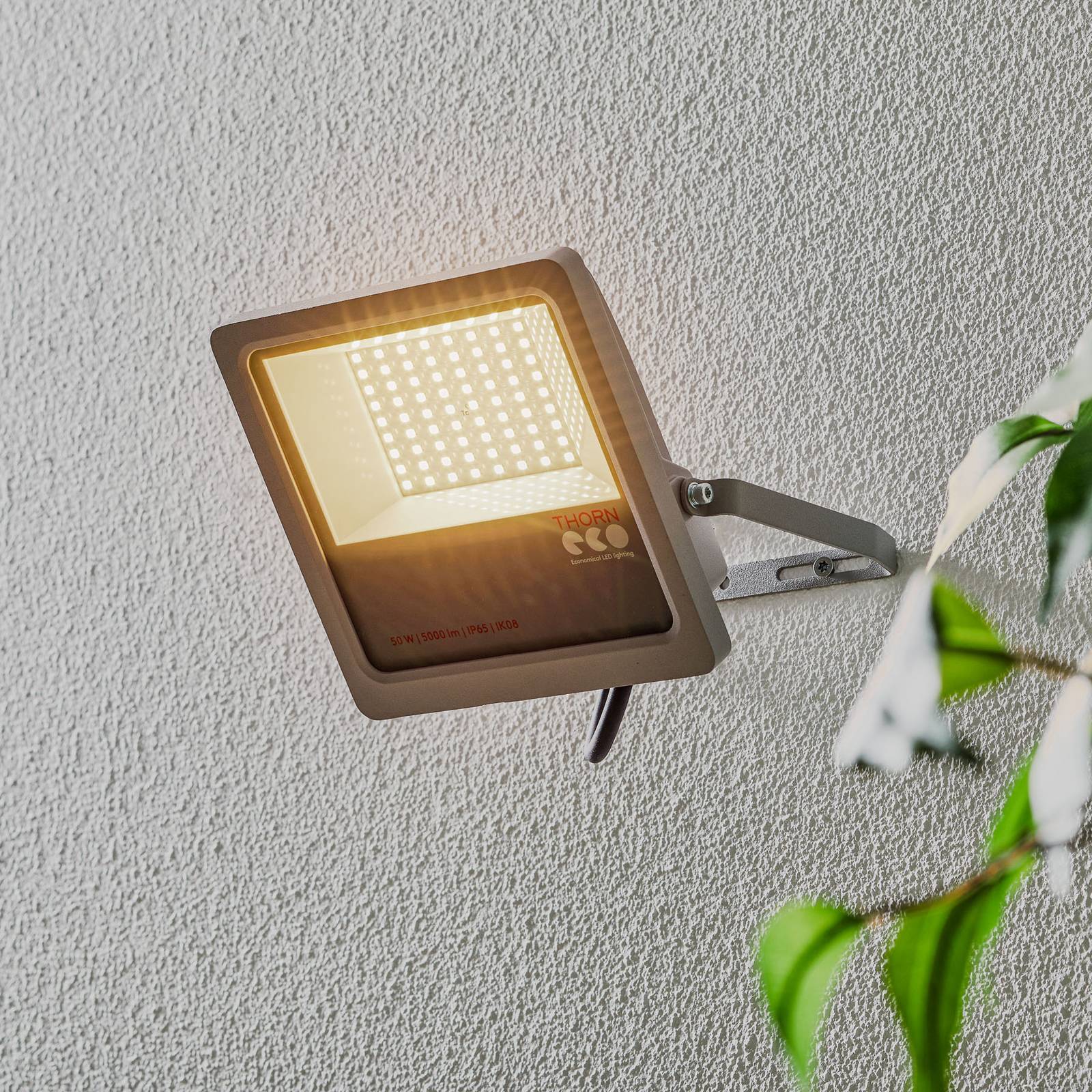 THORNeco Leonie LED-Strahler IP65 3.000 K 50 W günstig online kaufen