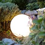 Müller Licht tint Calluna minge LED albă, 30 cm