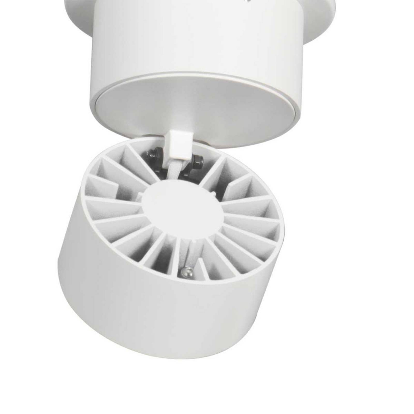 Reflektor sufitowy LED Fez, biały, 1-punktowy, metalowy, obrotowy