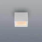 LED-stropna svetilka PURE Manhatten, bela, 1-žarilna, CCT