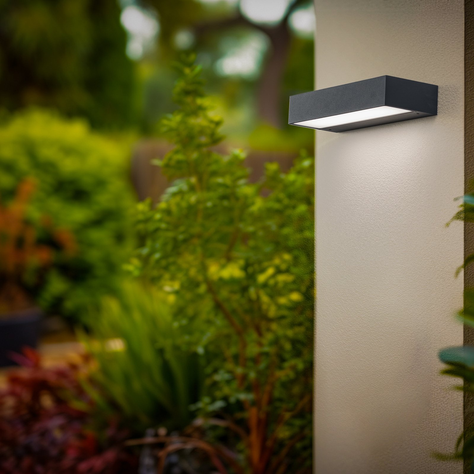 BEGA LED outdoor wall light 24472 K4, 4,000 K, graphite, cast aluminium