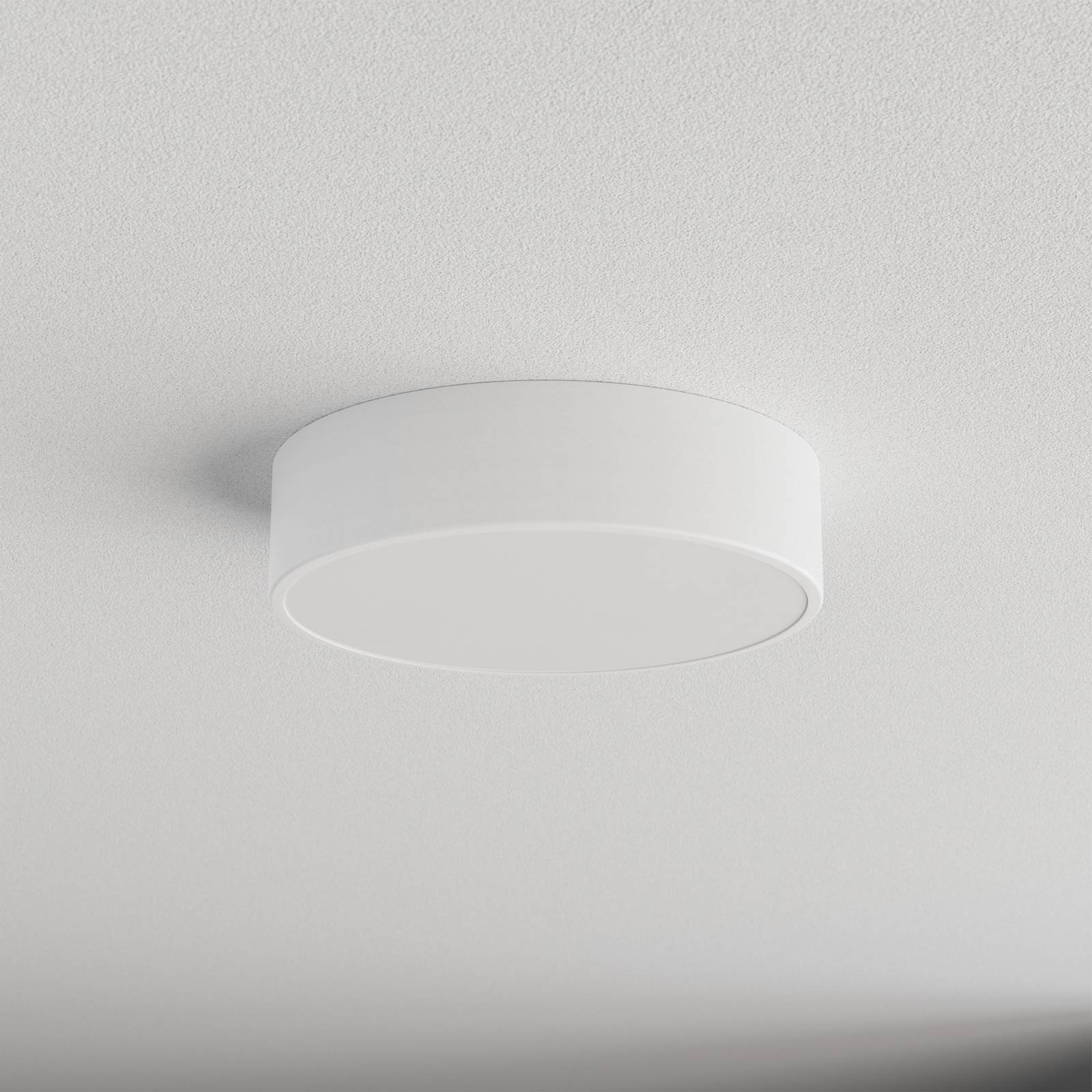 Lampa sufitowa Cleo, Ø 30 cm, IP20, biała, metal, E27