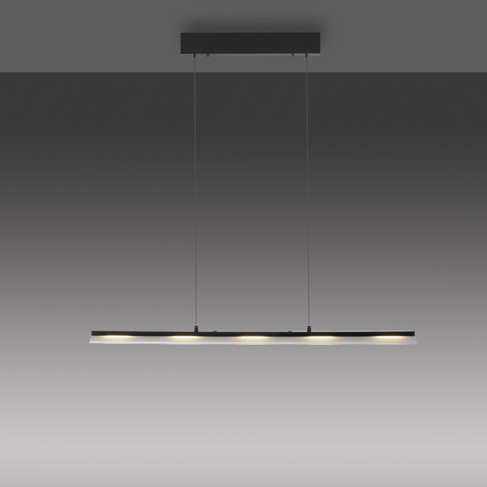 JUST LIGHT. LED pendant light Nele, black, iron, glass