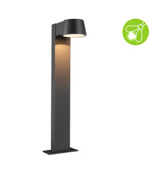 Paulmann Capea Bolardo luminoso LED aluminio antracita
