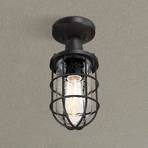 Westinghouse Crestview outdoor ceiling light