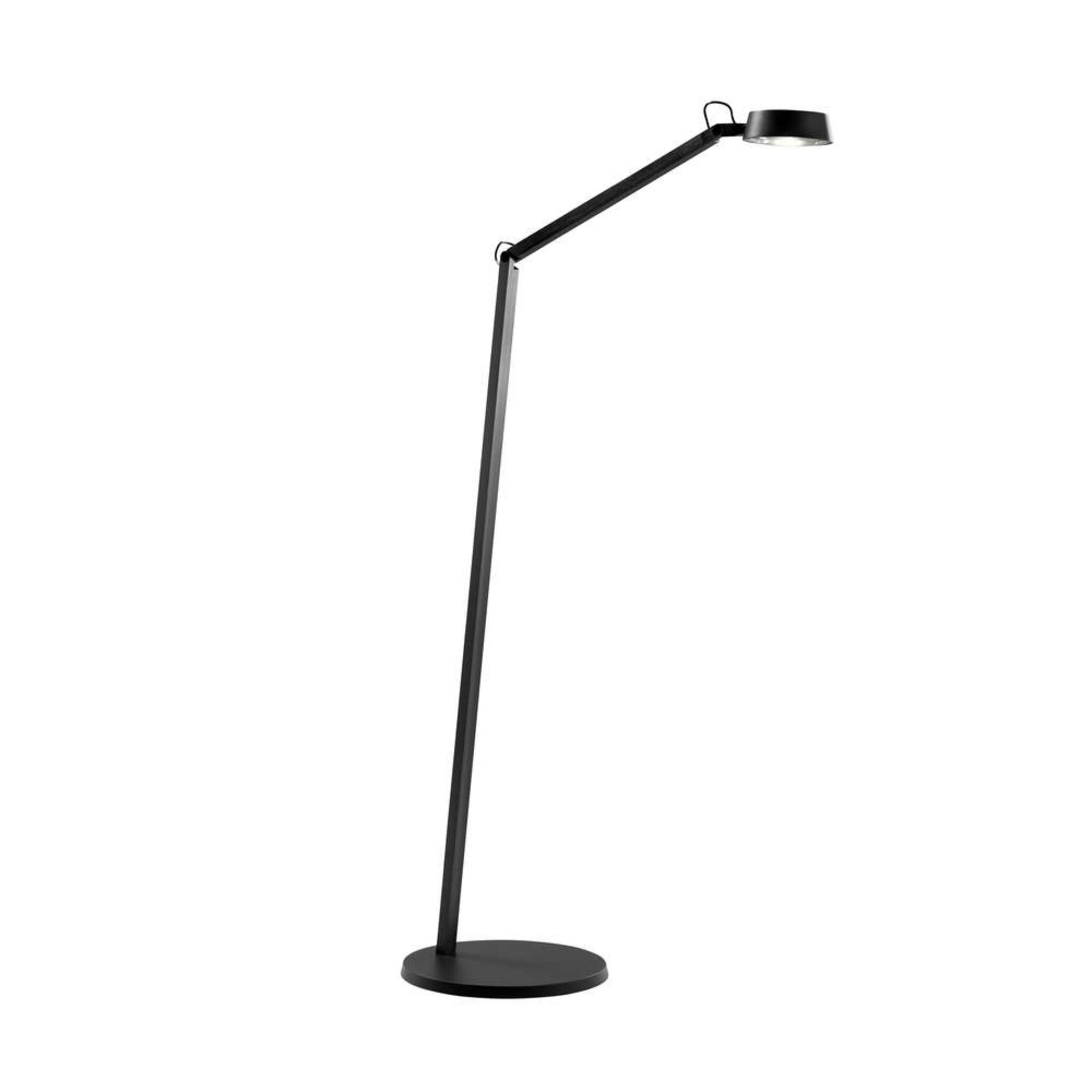 Dark F1 Golvlampa Carbon Black - LIGHT-POINT